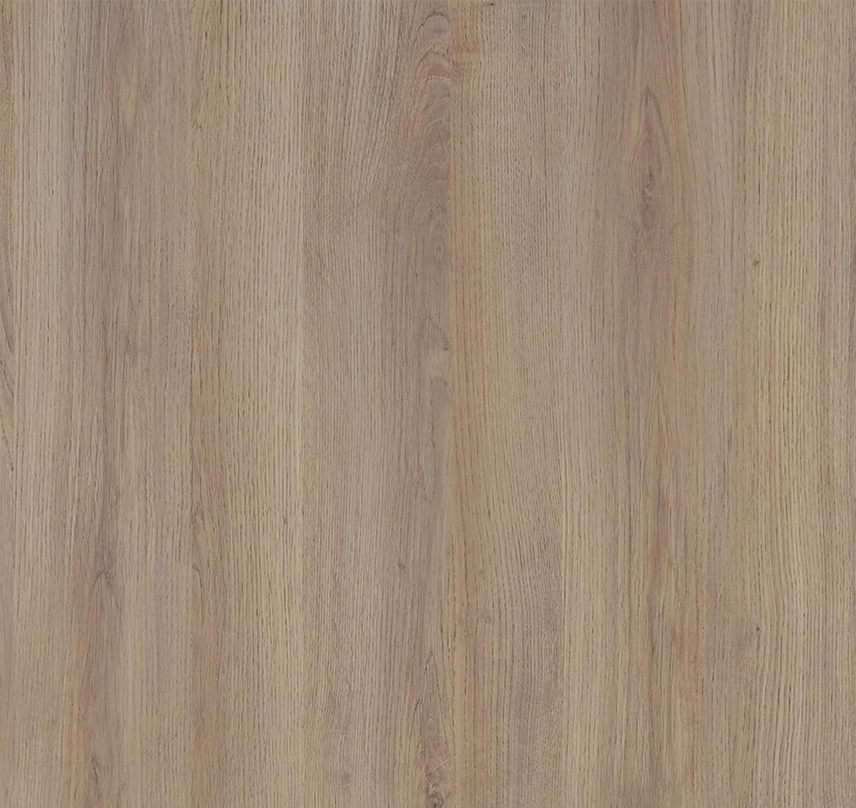 Auvellis Nexara Signature Oak Nature (Plain Panel) – Single