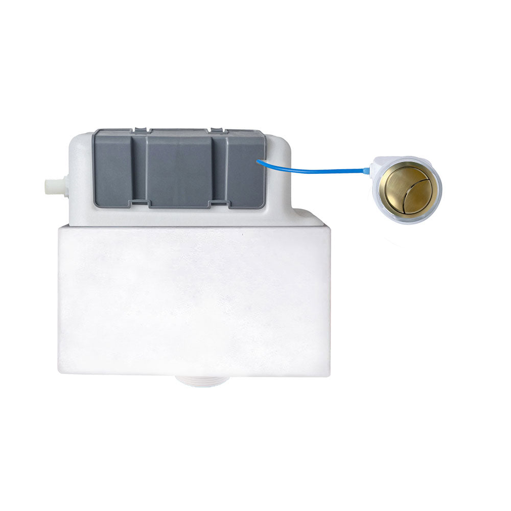 Universal Concealed Toilet Cistern Side Inlet With  Round Dual Flush Button Pureflo