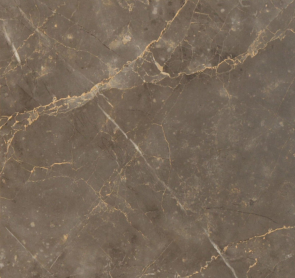 Auvellis Nexara Stone Brown Marble (Plain Marble)