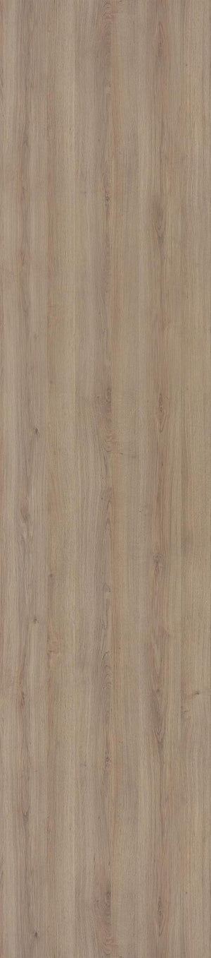 Auvellis Nexara Signature Oak Nature (Plain Panel)