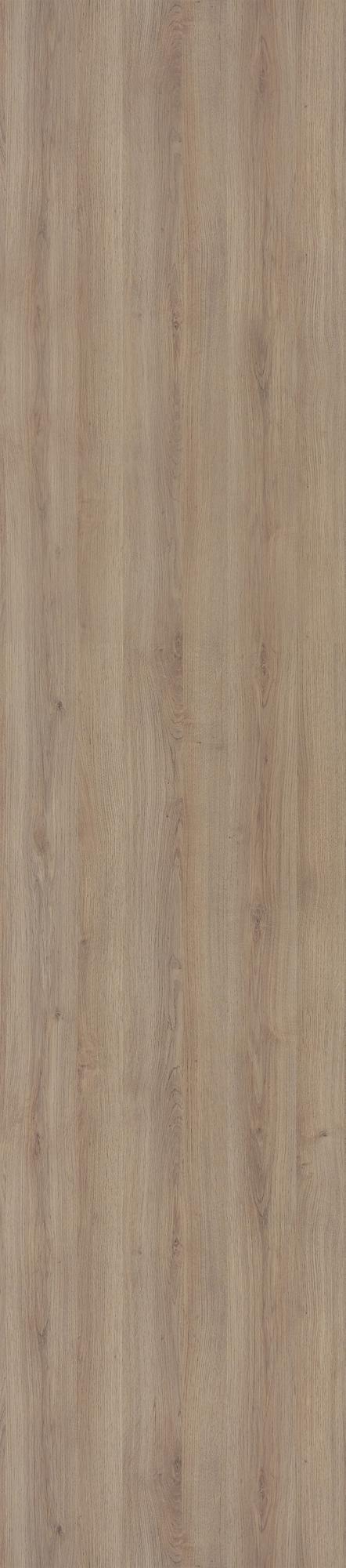 Auvellis Nexara Signature Oak Nature (Plain Panel)