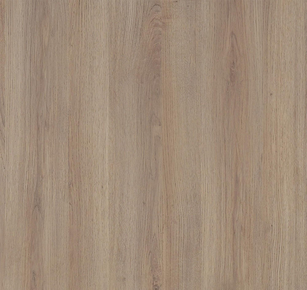 Auvellis Nexara Signature Oak Nature (Plain Panel)