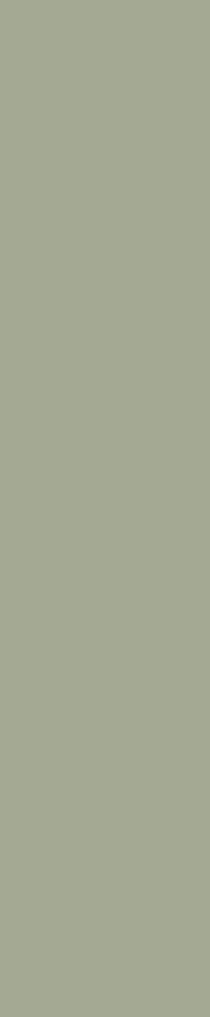 Auvellis Nexara Signature Olive Green (Plain Panel)