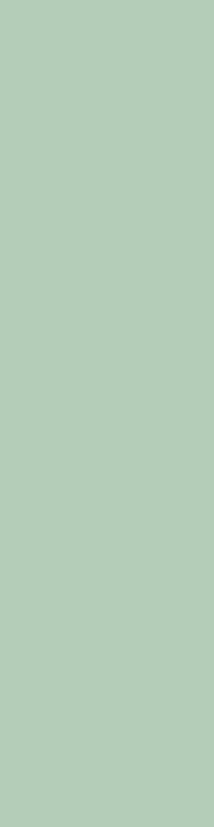 Auvellis Nexara Timeless Light Mint (Plain Panel)