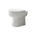 Florence Back To Wall Toilet Comfort Height And Wrap Over Soft Close Seat