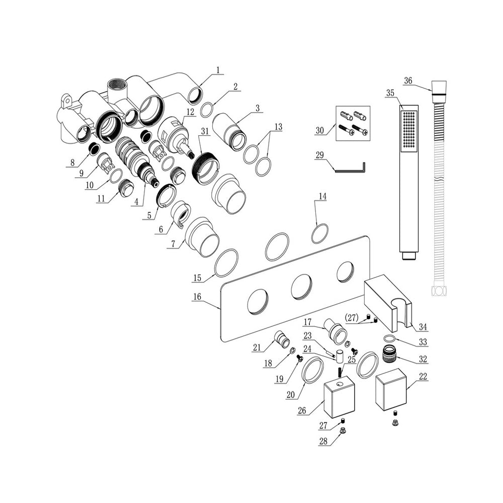 Auvellis Rovane thermostatic two-outlet shower valve with handset – detail view