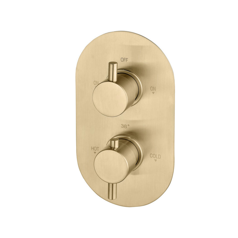 Astro 2 Outlet Thermostatic Shower Valve Brushed Brass