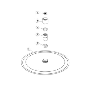 Auvellis Astro Round Brass Fixed Shower Head | Brushed Brass | PFDICM0700 | image 3
