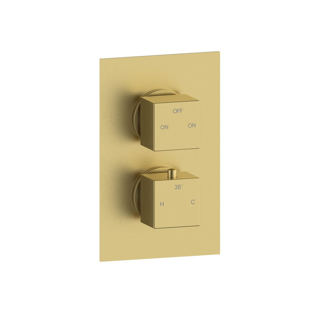 Cosmic Thermostatic Two Outlet Twin Shower Valve - Brushed Brass