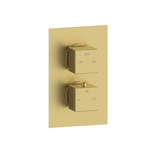 Cosmic Thermostatic Two Outlet Twin Shower Valve - Brushed Brass