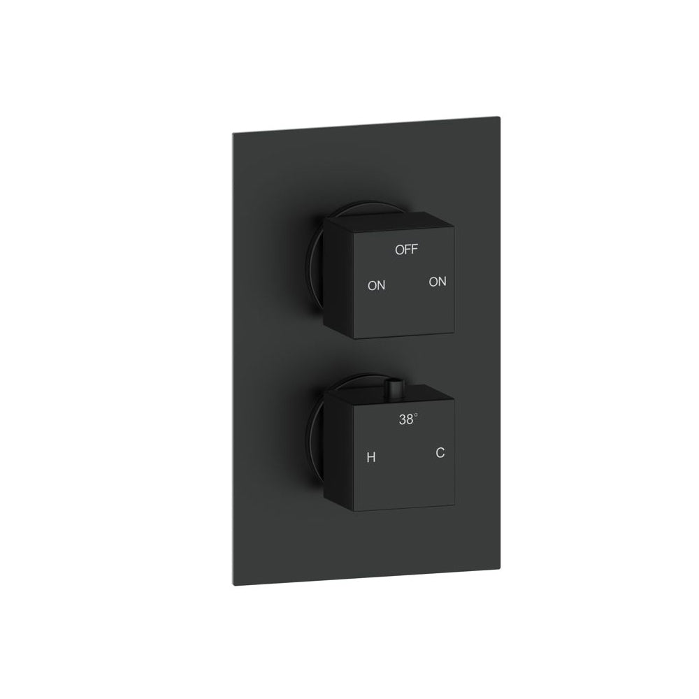 Cosmic Thermostatic Two Outlet Twin Shower Valve - Matt Black