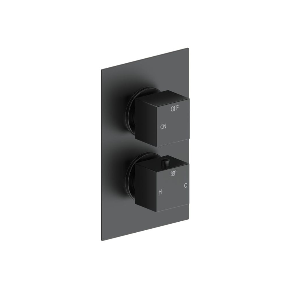 Cosmic Thermostatic Single Outlet Twin Shower Valve - Matt Black