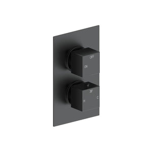 Cosmic Thermostatic Single Outlet Twin Shower Valve - Matt Black