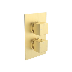 Cosmic Thermostatic Single Outlet Twin Shower Valve - Brushed Brass