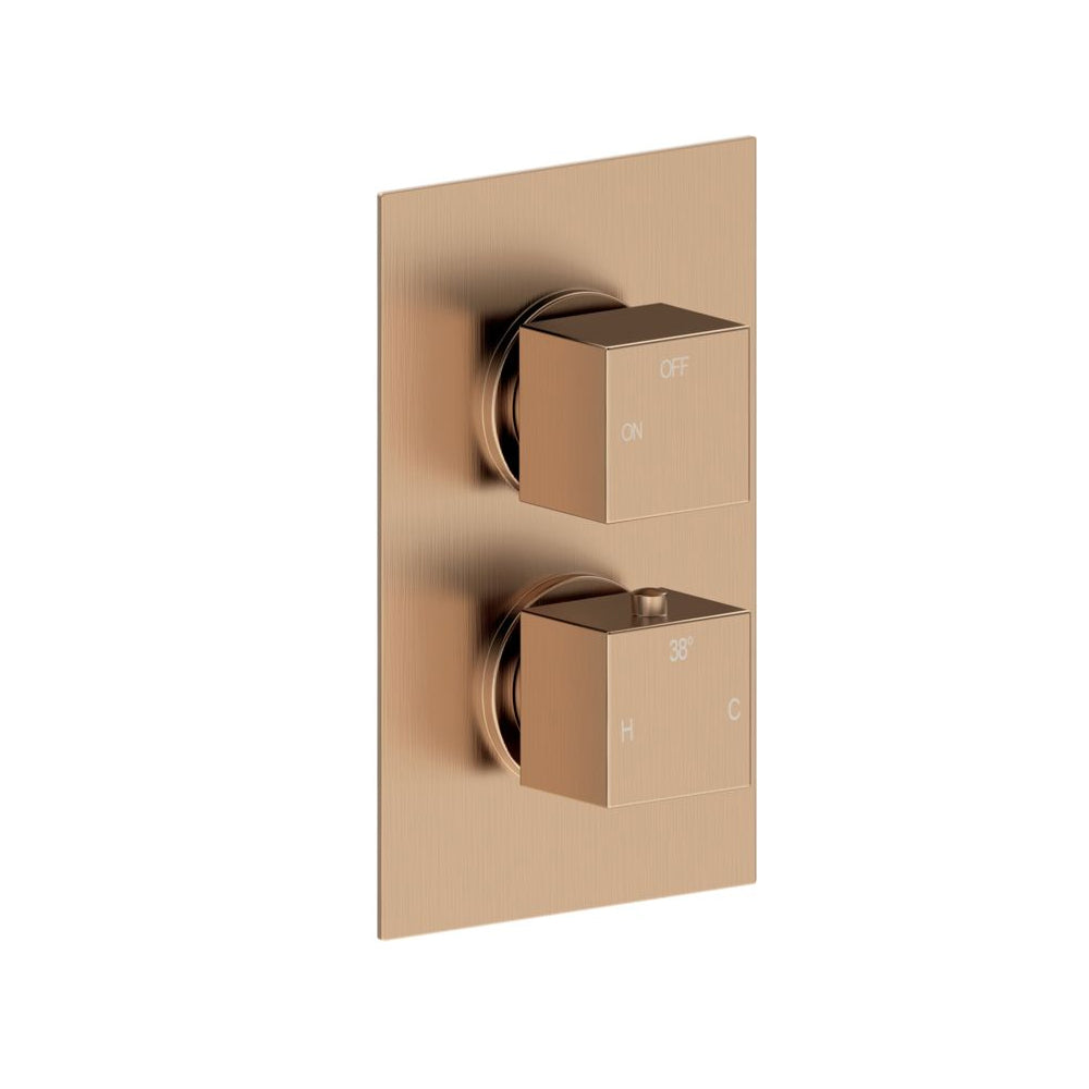 Cosmic Thermostatic Single Outlet Twin Shower Valve - Brushed Bronze