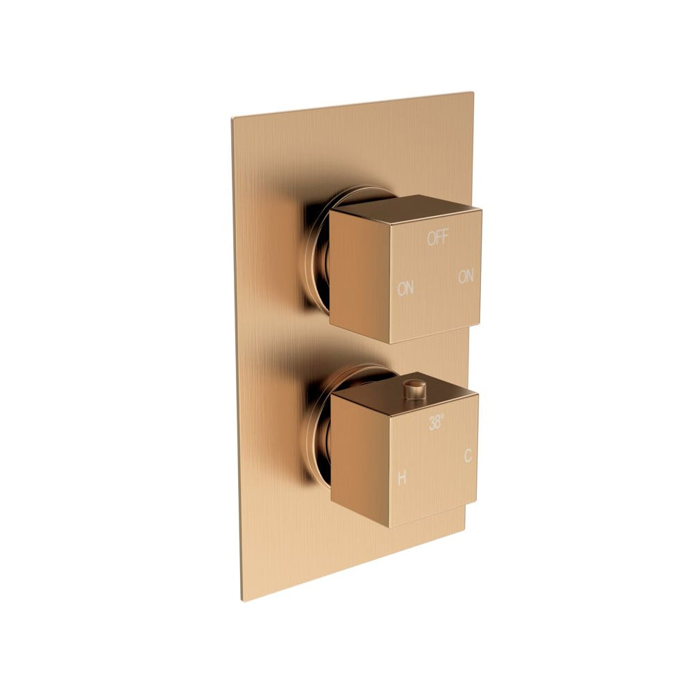 Cosmic Thermostatic Two Outlet Twin Shower Valve - Brushed Bronze