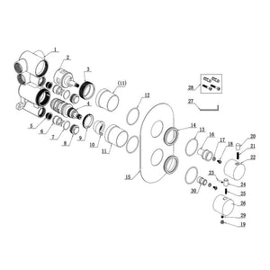 Aurora Thermostatic Two Outlet Twin Shower Valve Bathwise
