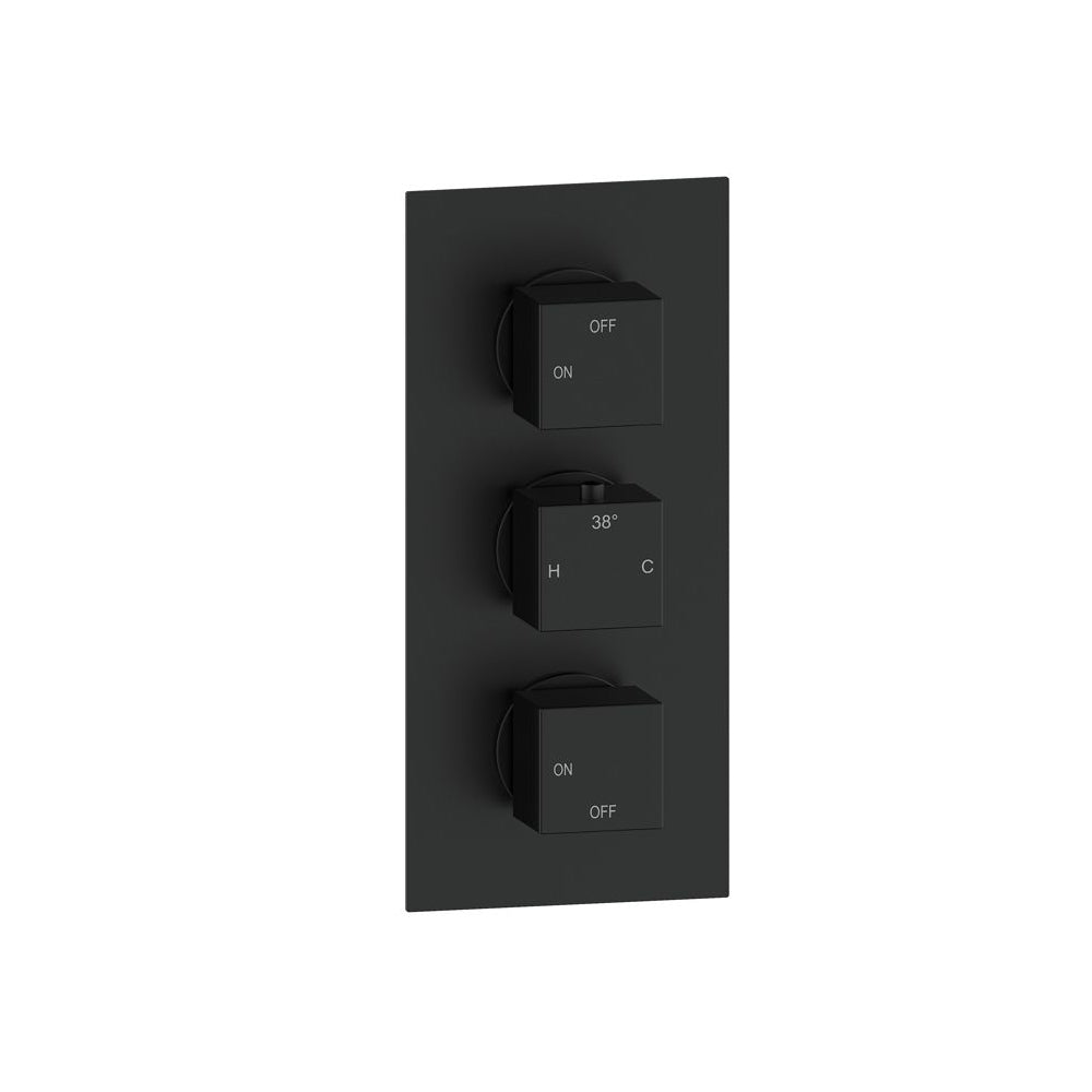 Cosmic Thermostatic Two Outlet Triple Shower Valve - Matt Black
