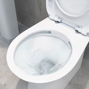 Sandro Back To Wall Pan And Soft Close Seat Bathwise