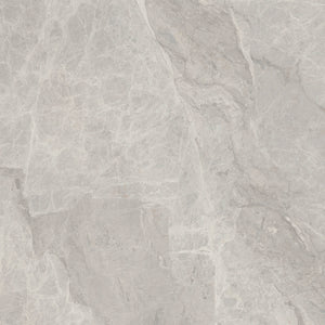 APE SILVER PEARL MATT 60X60 — Matt