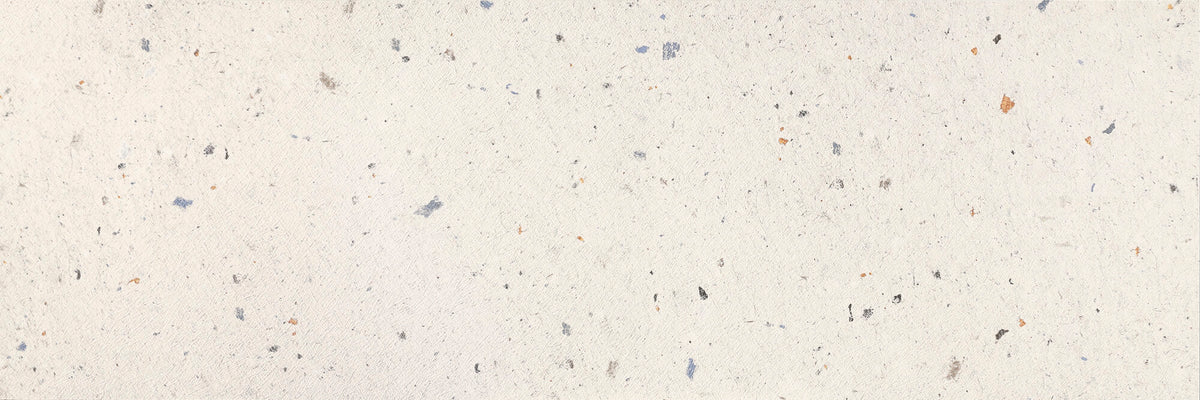 APE RE-USE WHITE RECT 40X120 — Matt