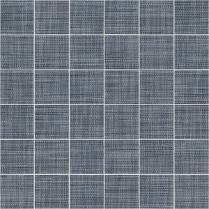 APE MALLA HABITAT BLUE 30X30 (5X5) — Matt