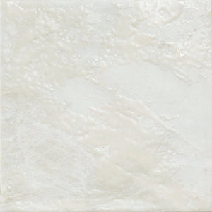 APE HIMALAYAS EVEREST 15X15 — Gloss