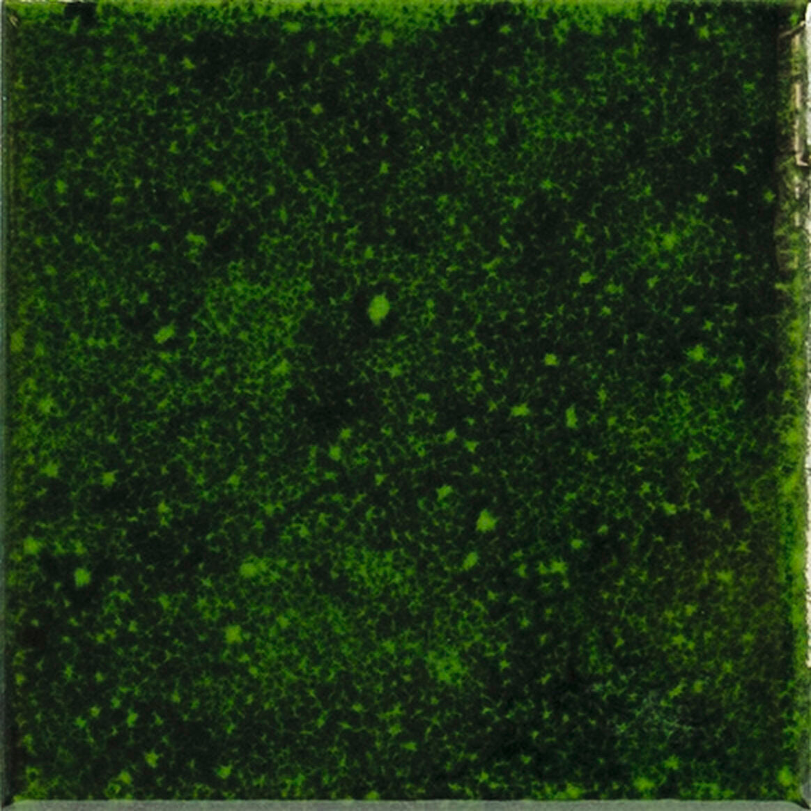 APE GENUINE EMERALD 10X10 — Gloss