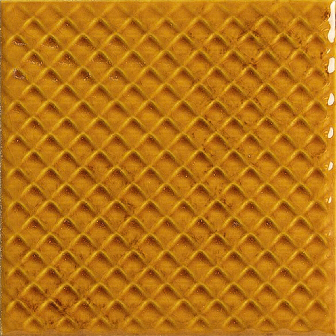 APE MIMOSA AMBER 10X10 — Gloss