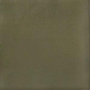 APE ISPAL GREEN 10X10 — Matt