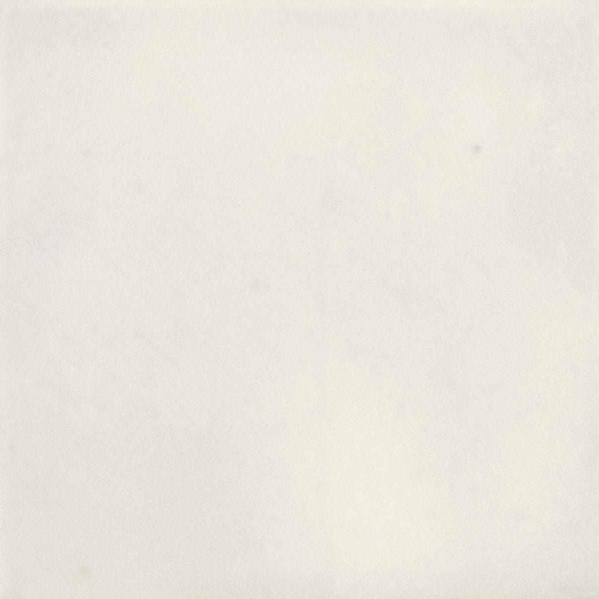 APE ISPAL SNOW 10X10 — Matt