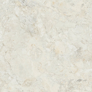 APE SICILY IVORY HONED RECT 120X120 — Honed (matt lappato)