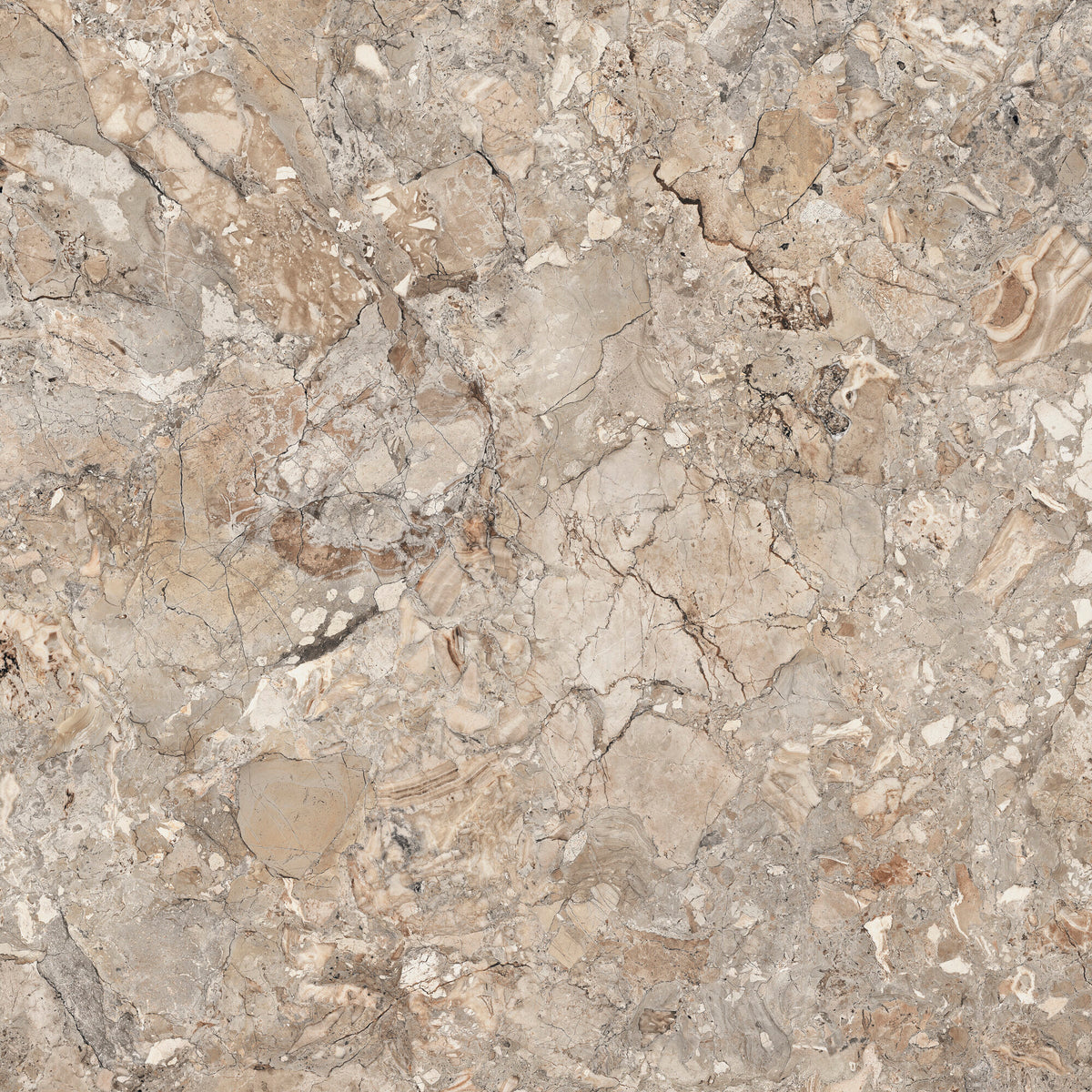 APE SICILY BROWN POL RECT 120X120 — Polished (glass effect)