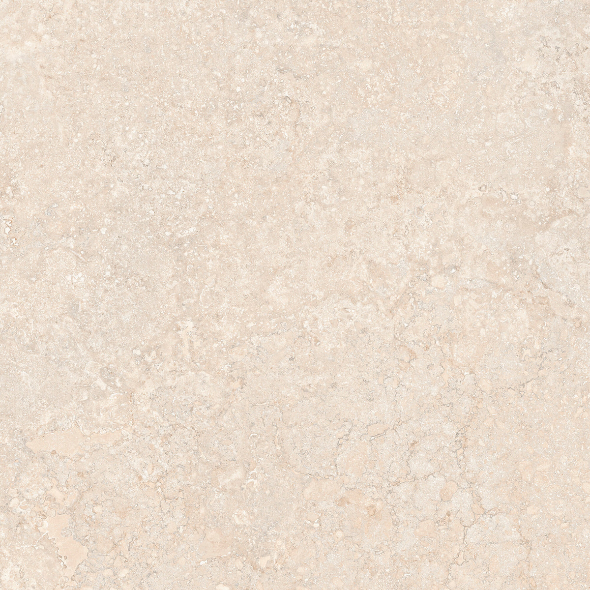 APE TIRRENIA IVORY RECT 120X120 — Matt