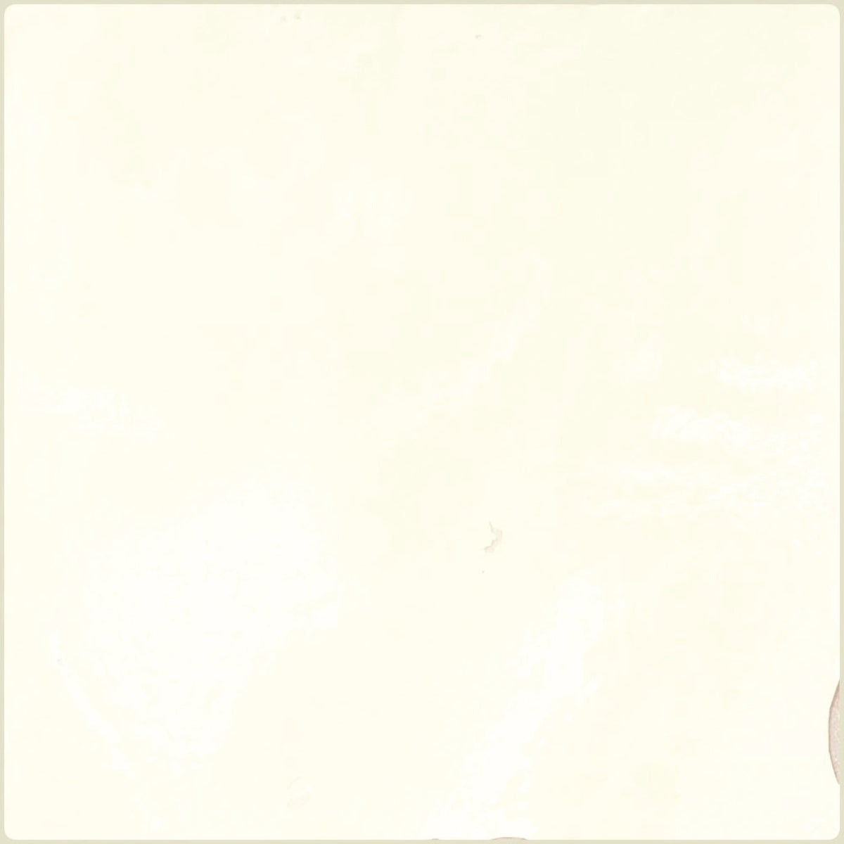 APE SOUK BONE 13X13 — Gloss