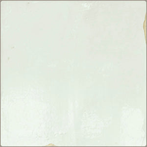 APE SOUK AQUA 13X13 — Gloss