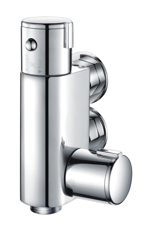 Auvellis chrome douche valve